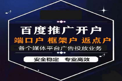 百度推广费用策略在竞争激烈市场的应用案例